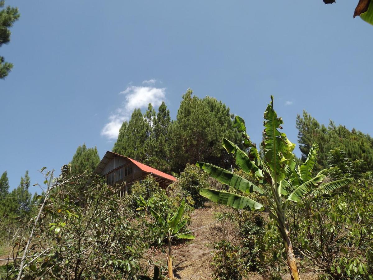 Chalet La Casita De Oxapampa