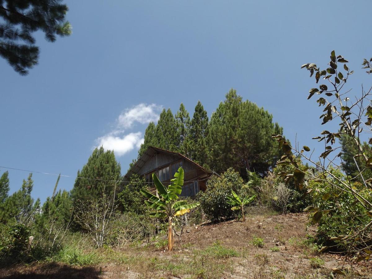 La Casita De Chalet