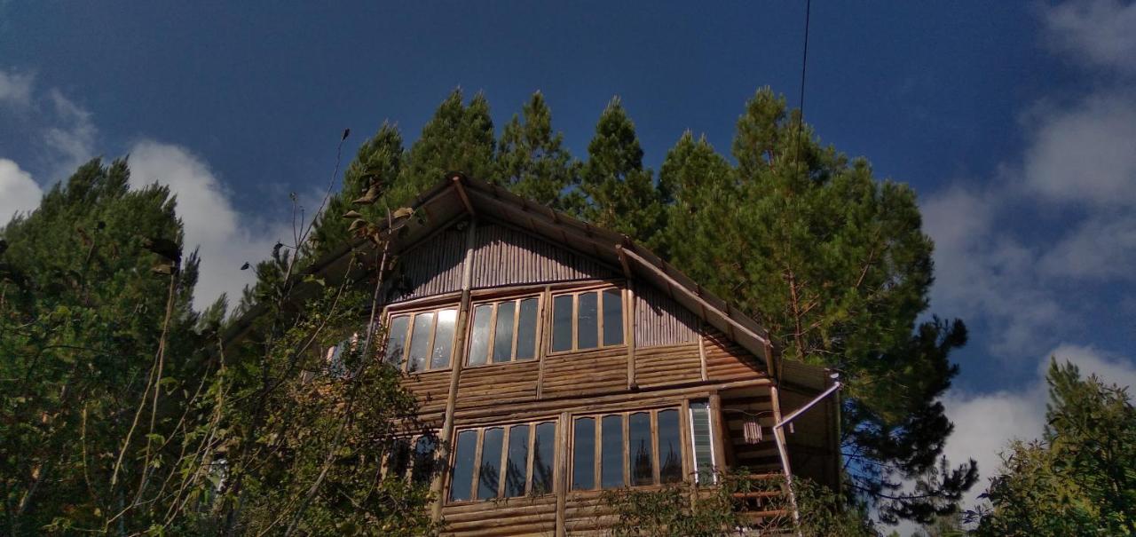 La Casita De *