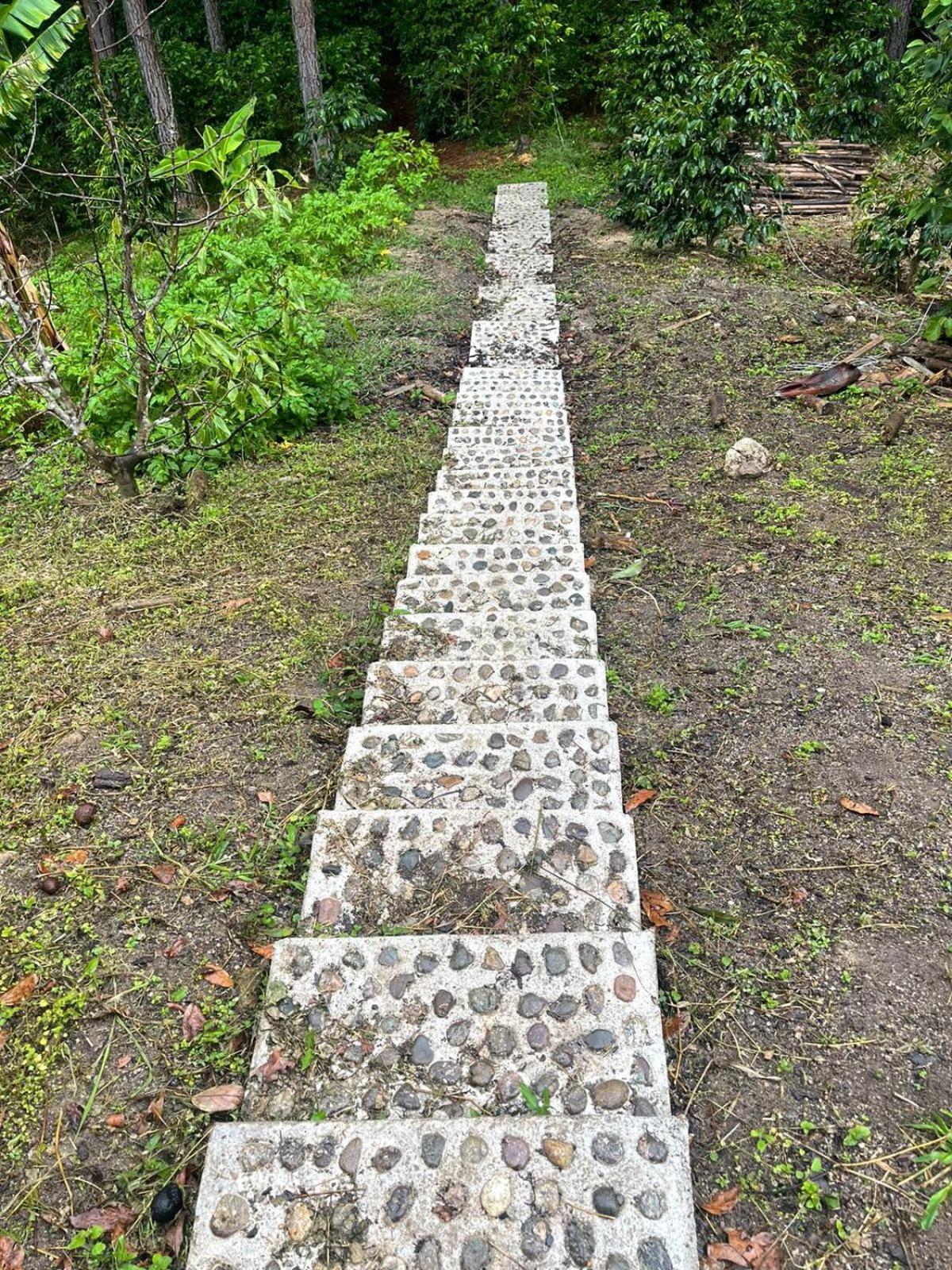 La Casita De * Oxapampa